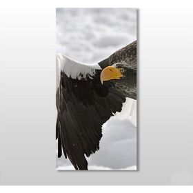 Technopa Kartal 50x75 cm Kanvas Tablo