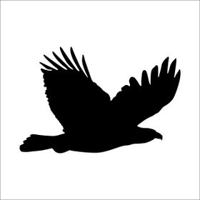 Technopa Kartal 60 cm Folyo Duvar Stickerı