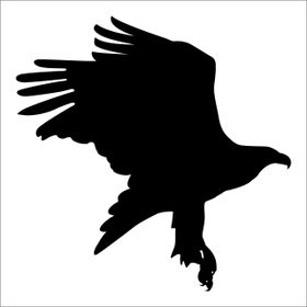 Technopa Kartal 70 cm Folyo Duvar Stickerı