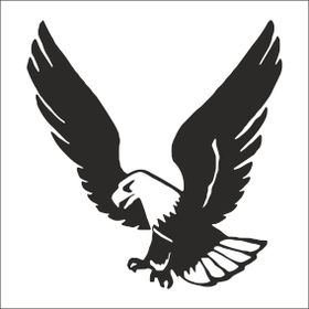 Technopa Kartal 70 cm Folyo Duvar Stickerı