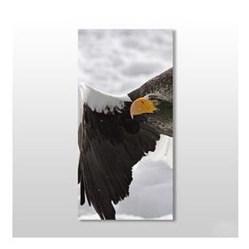 Technopa Kartal 70x105 cm Kanvas Tablo