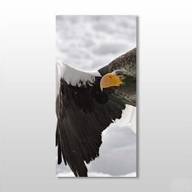 Technopa Kartal 80x120 cm Kanvas Tablo