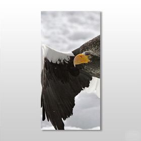 Technopa Kartal 80x120 cm Kanvas Tablo