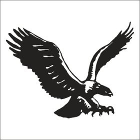 Technopa Kartal 90 cm Folyo Duvar Stickerı