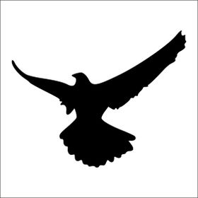 Technopa Kartal 90 cm Folyo Duvar Stickerı