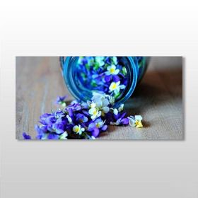 Technopa Kavanozdaki Çiçekler 200x100 cm Kanvas Tablo