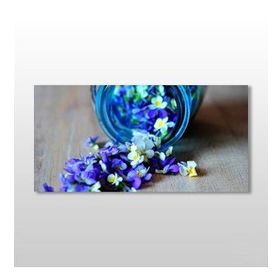 Technopa Kavanozdaki Çiçekler 60x30 cm Kanvas Tablo