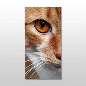 Technopa Kedi 110x165 cm Kanvas Tablo