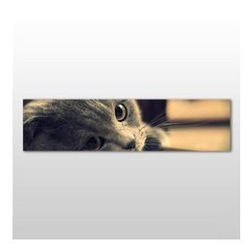 Technopa Kedi 150x50 cm Kanvas Tablo