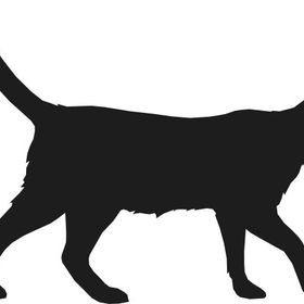 Technopa Kedi 200 cm Folyo Duvar Stickerı