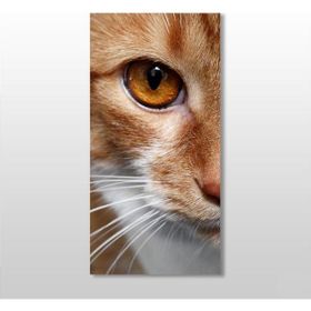 Technopa Kedi 20x30 cm Kanvas Tablo
