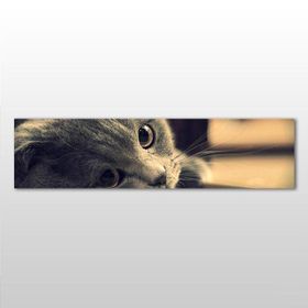 Technopa Kedi 210x70 cm Kanvas Tablo