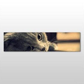 Technopa Kedi 300x100 cm Kanvas Tablo