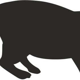 Technopa Kedi 40 cm Folyo Duvar Stickerı