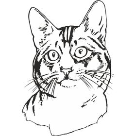 Technopa Kedi 70 cm Folyo Duvar Stickerı