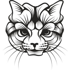 Technopa Kedi 80 cm Folyo Duvar Stickerı