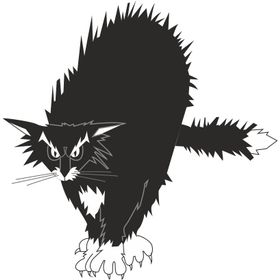 Technopa Kedi 80 cm Folyo Duvar Stickerı