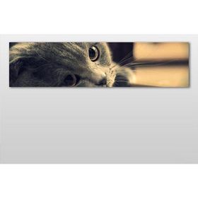 Technopa Kedi 90x30 cm Kanvas Tablo