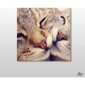 Technopa Kedi Çift 25x25 cm Kanvas Tablo