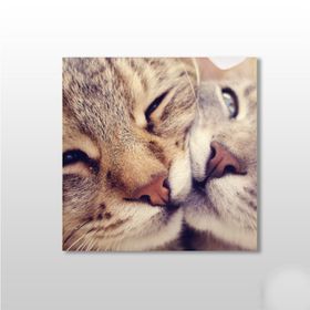 Technopa Kedi Çift 25x25 cm Kanvas Tablo