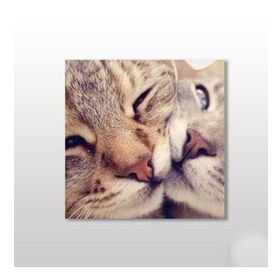Technopa Kedi Çift 50x50 cm Kanvas Tablo
