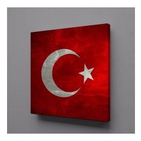 Technopa Kırmızı Beyaz Bayrak 30x30 cm Kare Kanvas Tablo