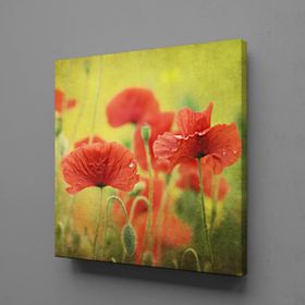 Technopa Kırmızı Çiçekler 100x100 cm Kanvas Tablo