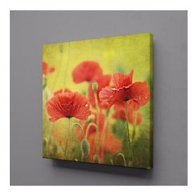 Technopa Kırmızı Çiçekler 110x110 cm Kanvas Tablo