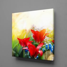 Technopa Kırmızı Çiçekler 40x40 cm Kanvas Tablo