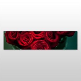 Technopa Kırmızı Gül 120x40 cm Kanvas Tablo