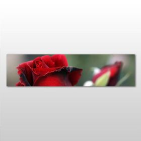 Technopa Kırmızı Gül 240x80 cm Kanvas Tablo