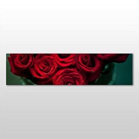 Technopa Kırmızı Gül 240x80 cm Kanvas Tablo