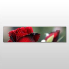 Technopa Kırmızı Gül 90x30 cm Kanvas Tablo