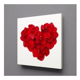 Technopa Kırmızı Gül Yapraklarından Kalp 100x100 cm Kanvas Tablo