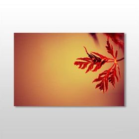 Technopa Kızıl Yaprak 120x80 cm Kanvas Tablo