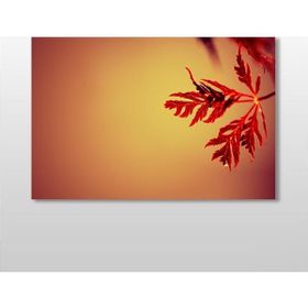 Technopa Kızıl Yaprak 30x20 cm Kanvas Tablo