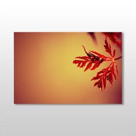 Technopa Kızıl Yaprak 45x30 cm Kanvas Tablo