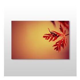 Technopa Kızıl Yaprak 90x60 cm Kanvas Tablo