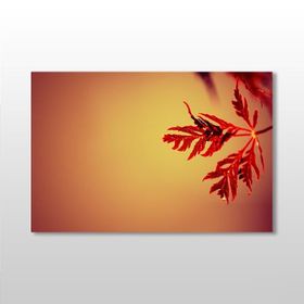 Technopa Kızıl Yaprak 90x60 cm Kanvas Tablo