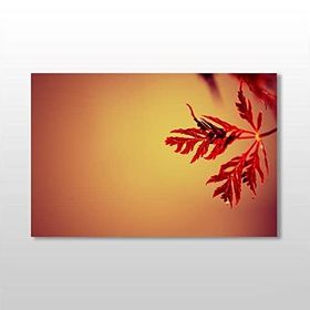 Technopa Kızıl Yaprak 90x60 cm Kanvas Tablo