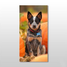 Technopa Köpek 30x50 cm Kanvas Tablo