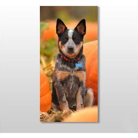 Technopa Köpek 80x120 cm Kanvas Tablo