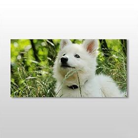 Technopa Köpek Beyaz 100x50 cm Kanvas Tablo