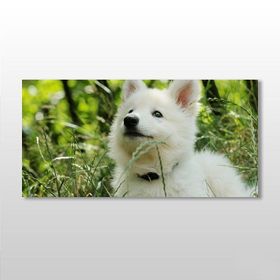 Technopa Köpek Beyaz 100x50 cm Kanvas Tablo