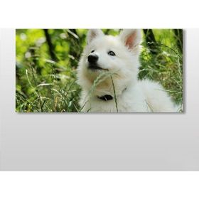 Technopa Köpek Beyaz 140x70 cm Kanvas Tablo