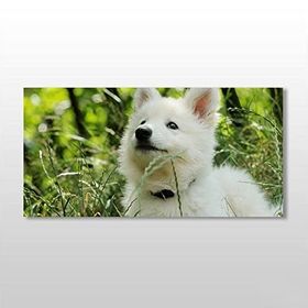 Technopa Köpek Beyaz 140x70 cm Kanvas Tablo