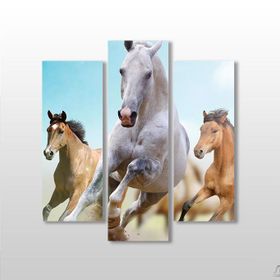 Technopa Koşan Atlar 75x80 cm Kanvas Tablo