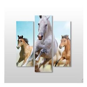 Technopa Koşan Atlar 75x80 cm Kanvas Tablo