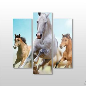 Technopa Koşan Atlar 75x80 cm Kanvas Tablo