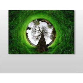 Technopa Küre Çimenlik 105x70 cm Kanvas Tablo
